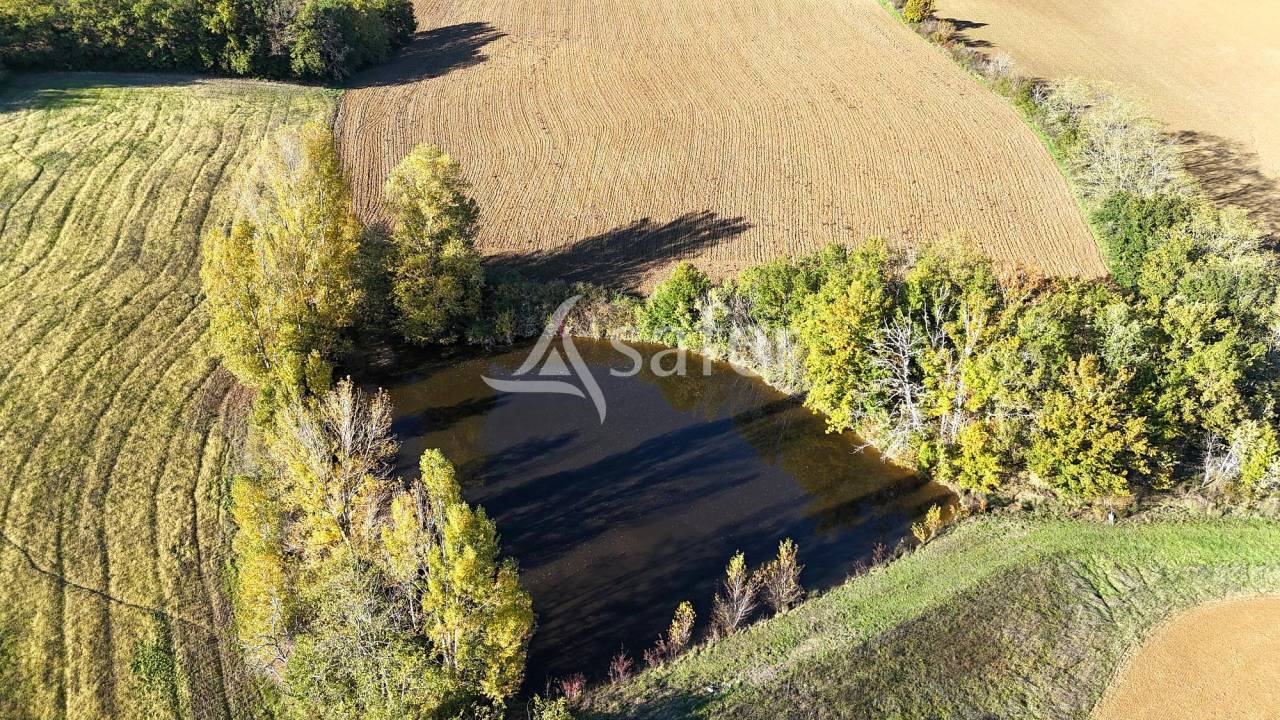 Explotación ovina En venta Tarn y Garona