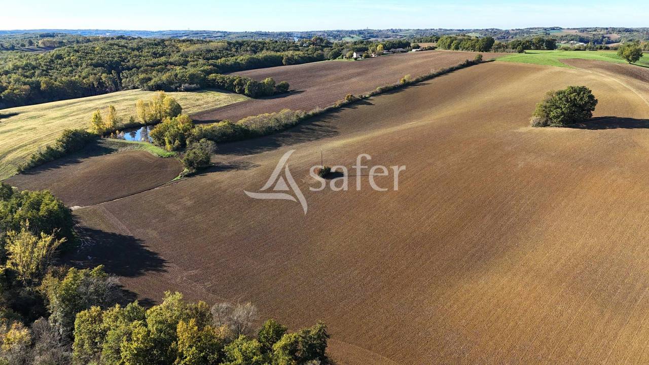 Explotación ovina En venta Tarn y Garona