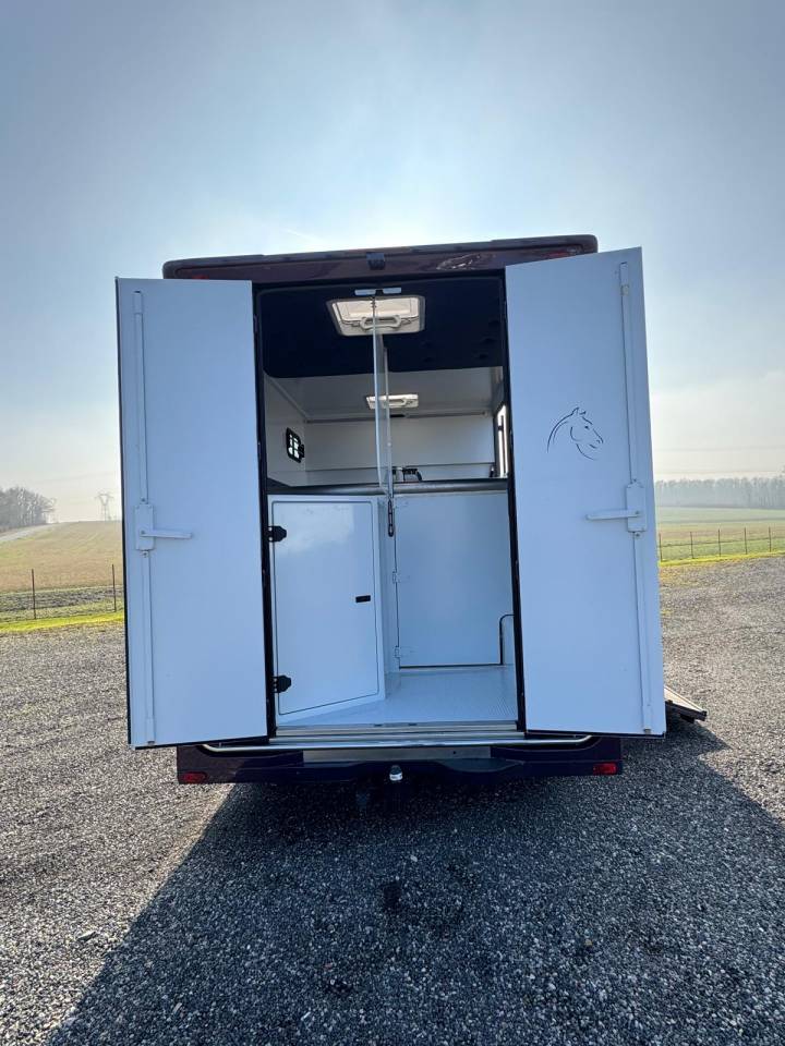 Furgoneta para caballos Chardron Renault Master 2023 De segunda mano