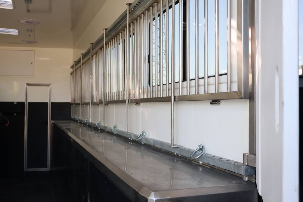 Camión para caballos - Otra marca - MAN TGS 26.430 PAILLARD 8 CHEVAUX POP OUT 2025 Nuevo