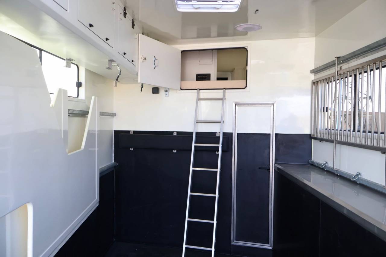 Camión para caballos - Otra marca - MAN TGS 26.430 PAILLARD 8 CHEVAUX POP OUT 2025 Nuevo