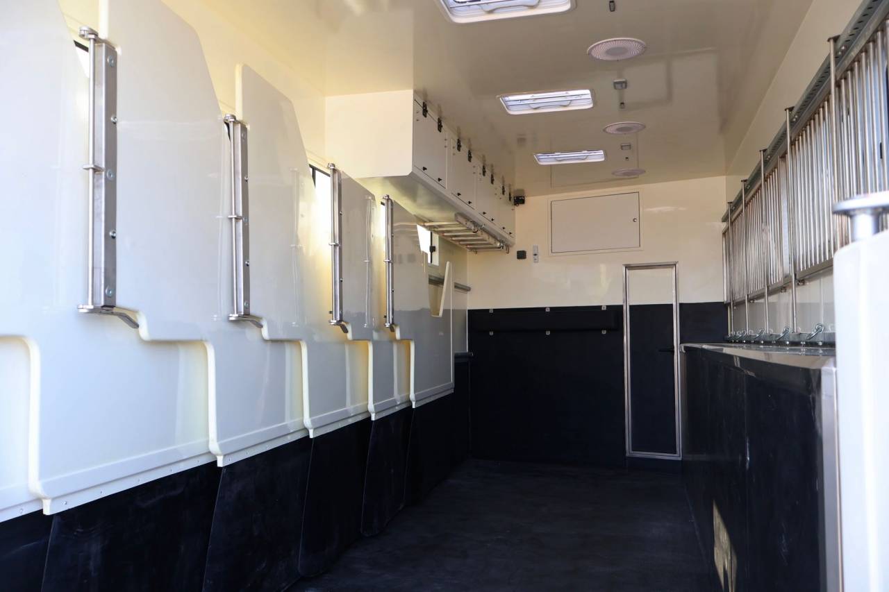 Camión para caballos - Otra marca - MAN TGS 26.430 PAILLARD 8 CHEVAUX POP OUT 2025 Nuevo