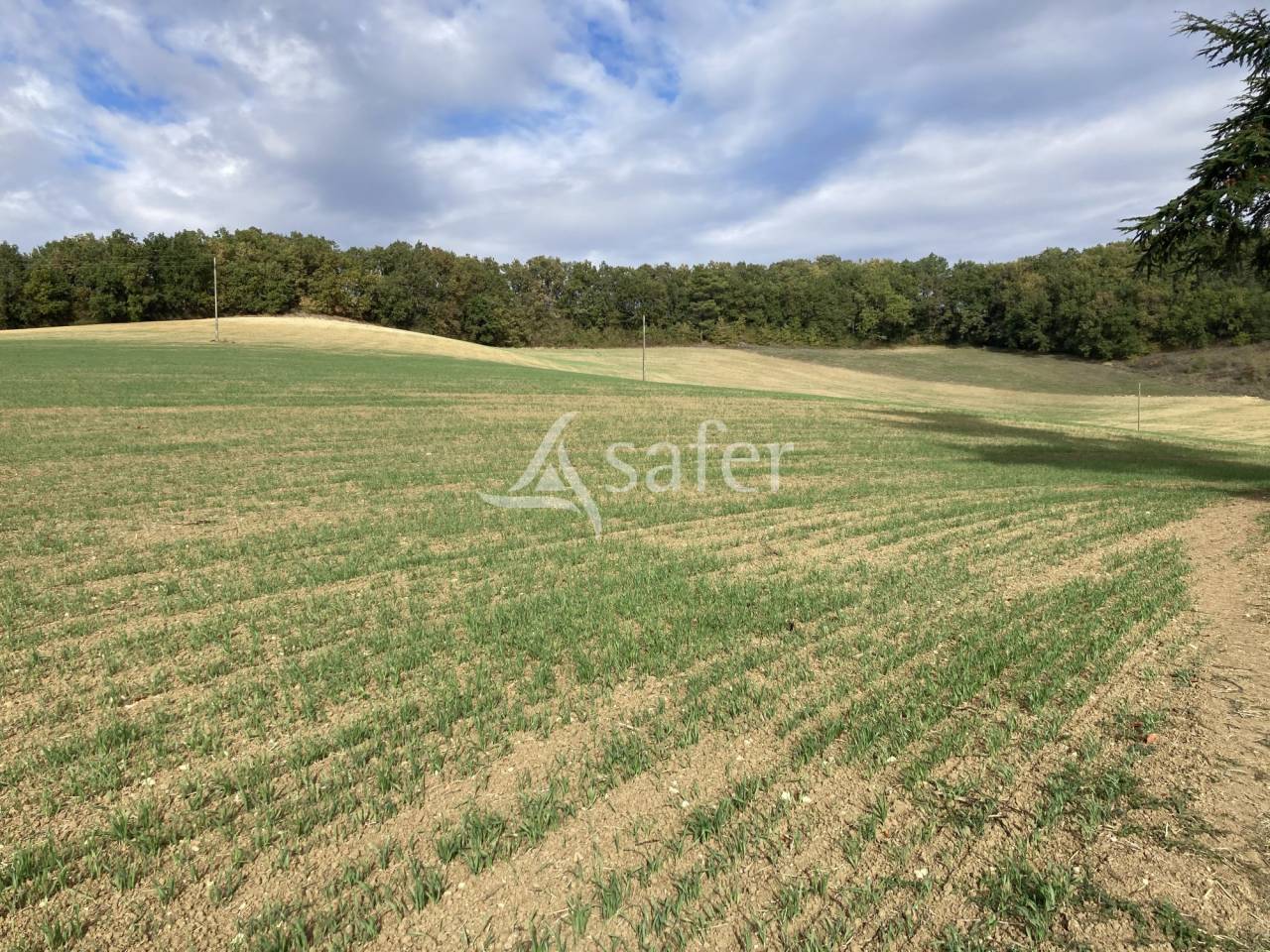 Propiedad ecuestre En venta Tarn y Garona