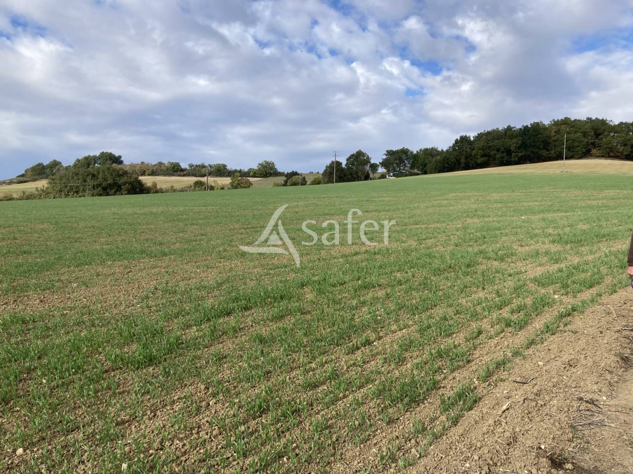 Propiedad ecuestre En venta Tarn y Garona