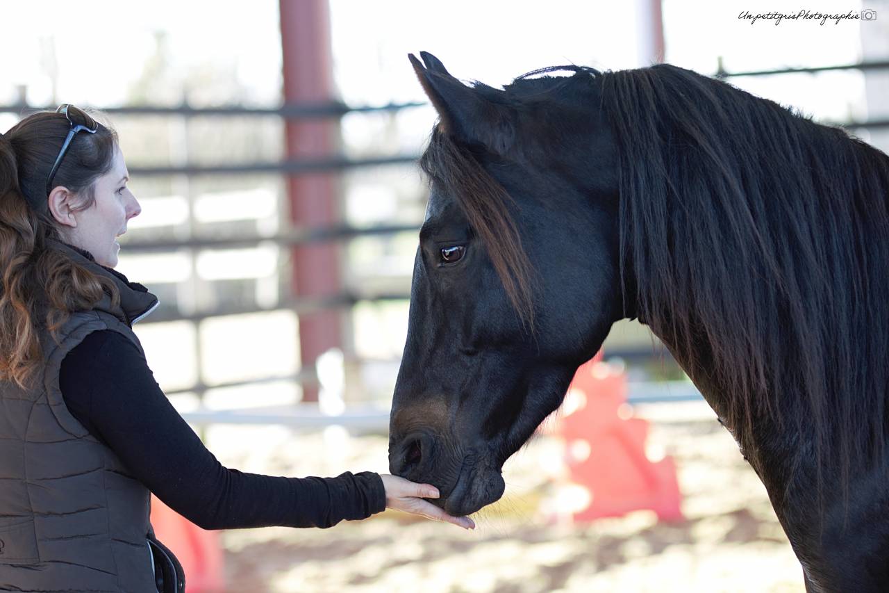 Made for jump sympatico - PFS Poni Fran&ccedil;&eacute;s de Silla 2022 por WELCOME SYMPATICO