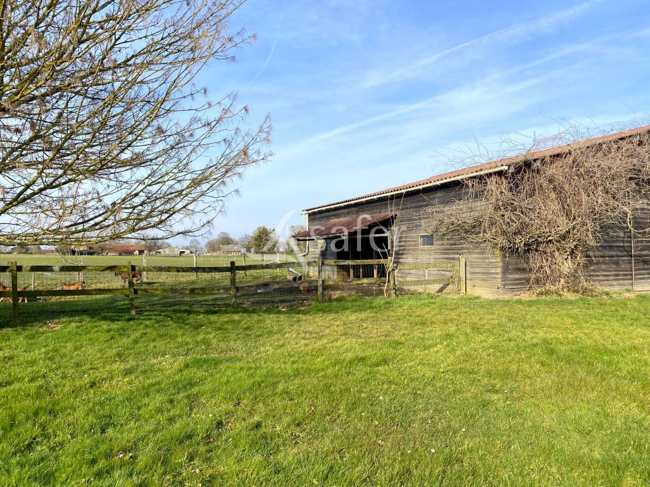 Propiedad ecuestre En venta Ain