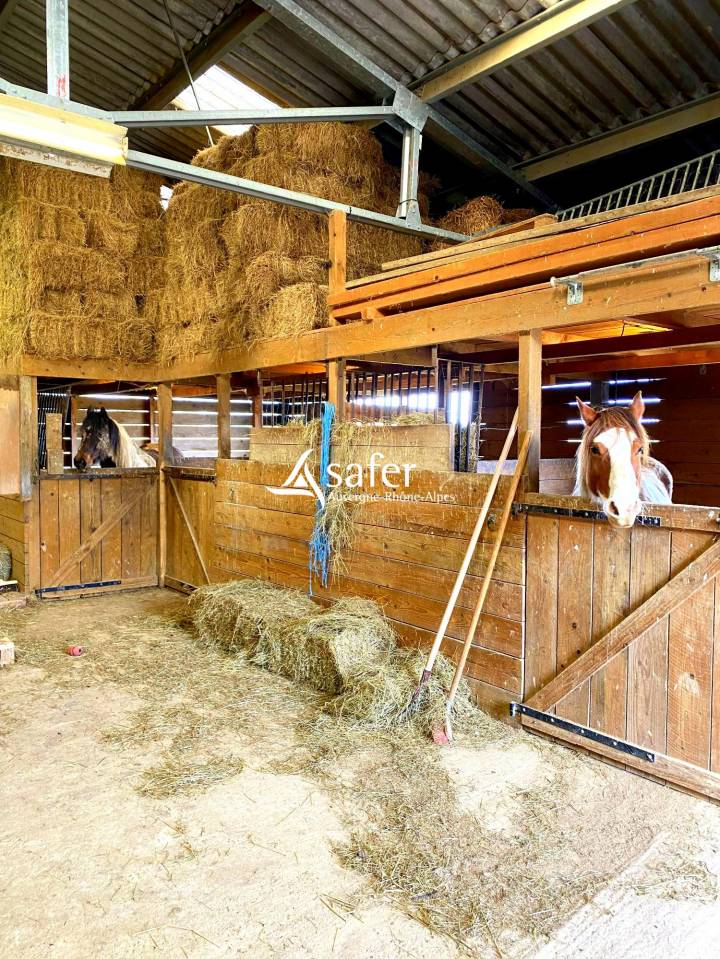 Propiedad ecuestre En venta Ain