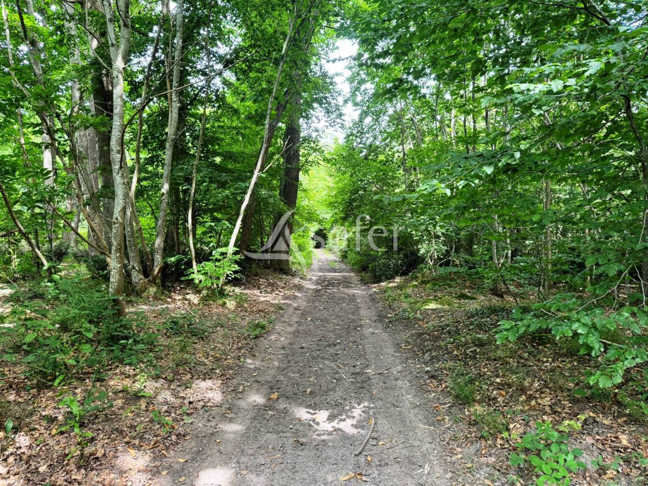 Propiedad ecuestre En venta Sena y Marne