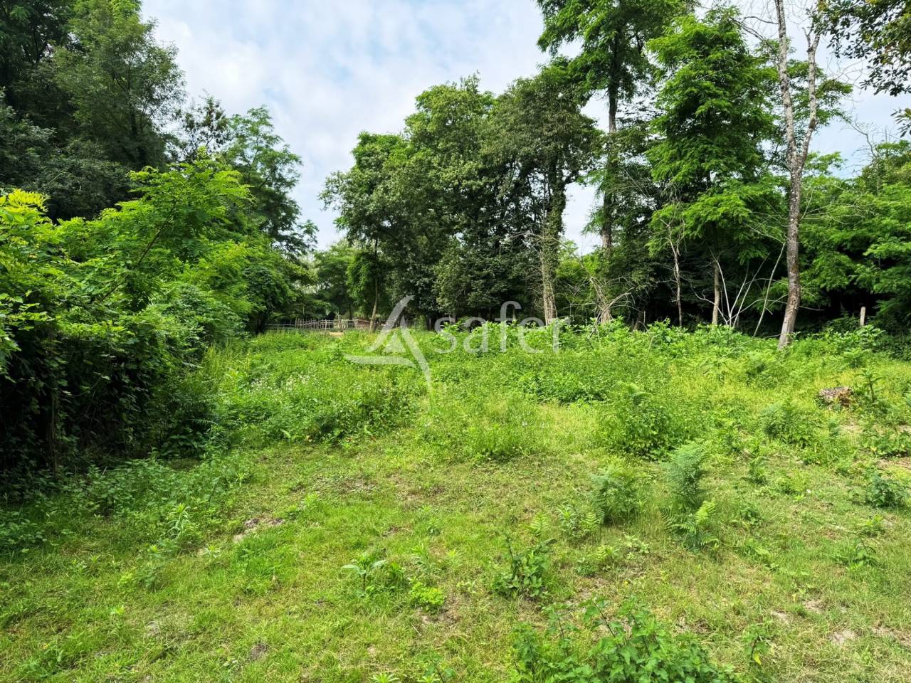 Propiedad ecuestre En venta Sena y Marne