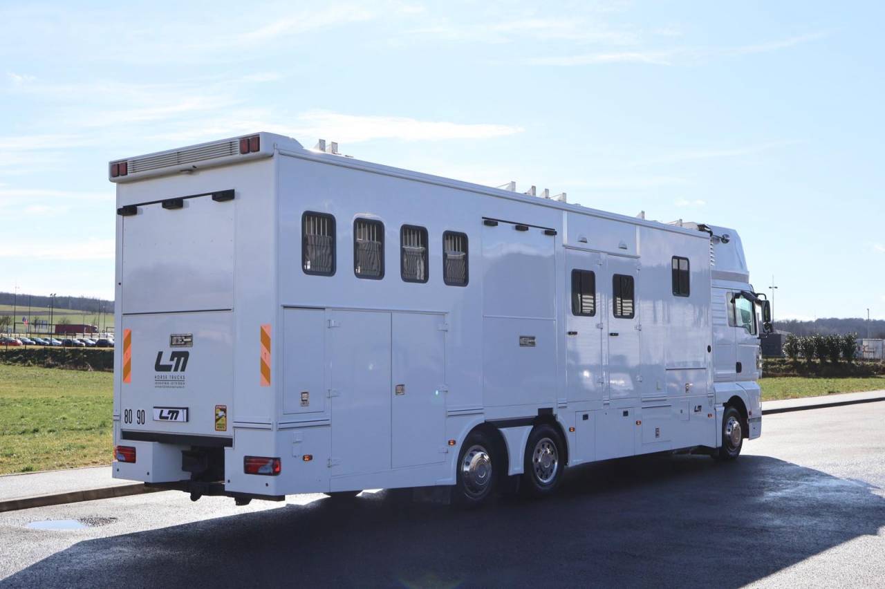 Camión para caballos - Otra marca - MAN TGA 26.430 JL POP OUT 2007 De segunda mano