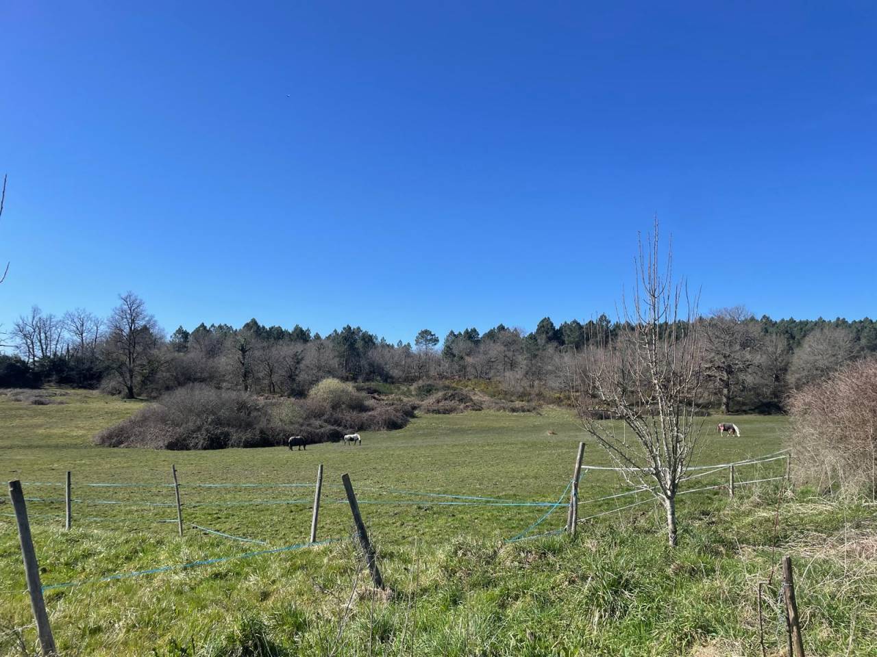 Propiedad ecuestre En venta Charente Marítimo