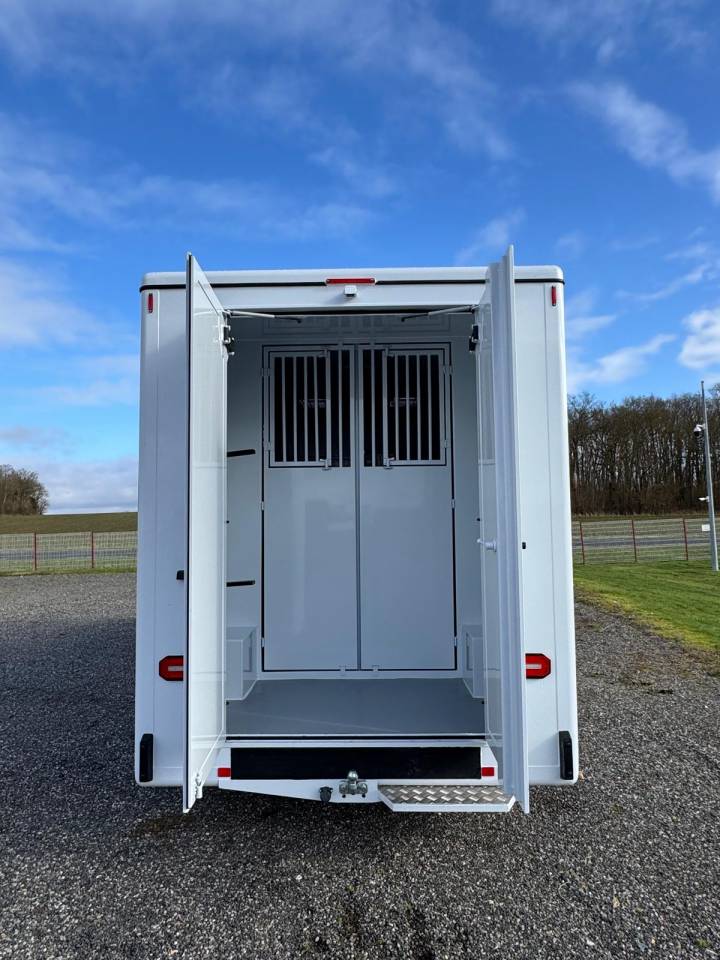 Furgoneta para caballos TBST Renault Master 2025 Nuevo