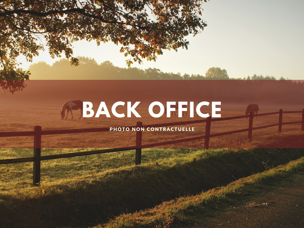 Centro ecuestre En venta Loira Atlántico