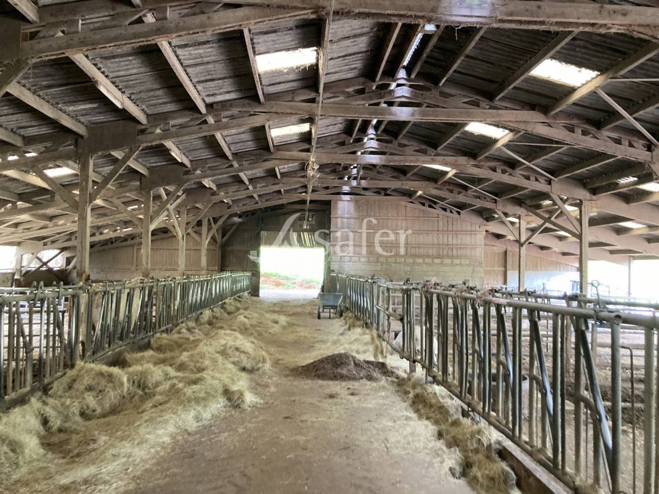 Explotación ovina En venta Saona y Loira