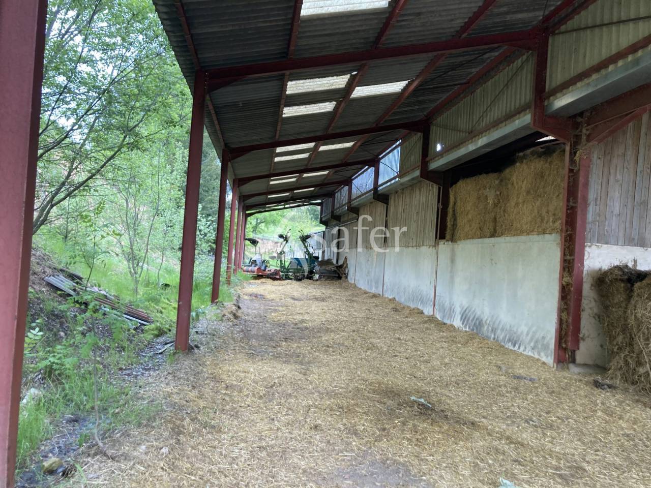 Explotación ovina En venta Saona y Loira