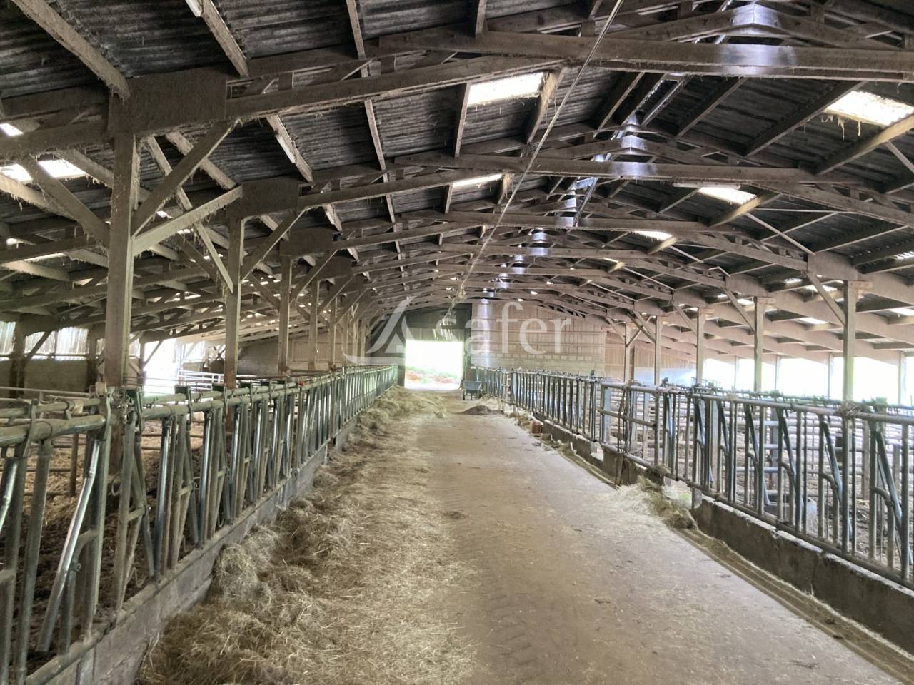 Explotación ovina En venta Saona y Loira