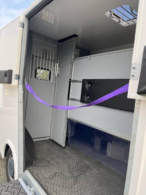 Furgoneta para caballos AP Petit Master 2021 2021 De segunda mano