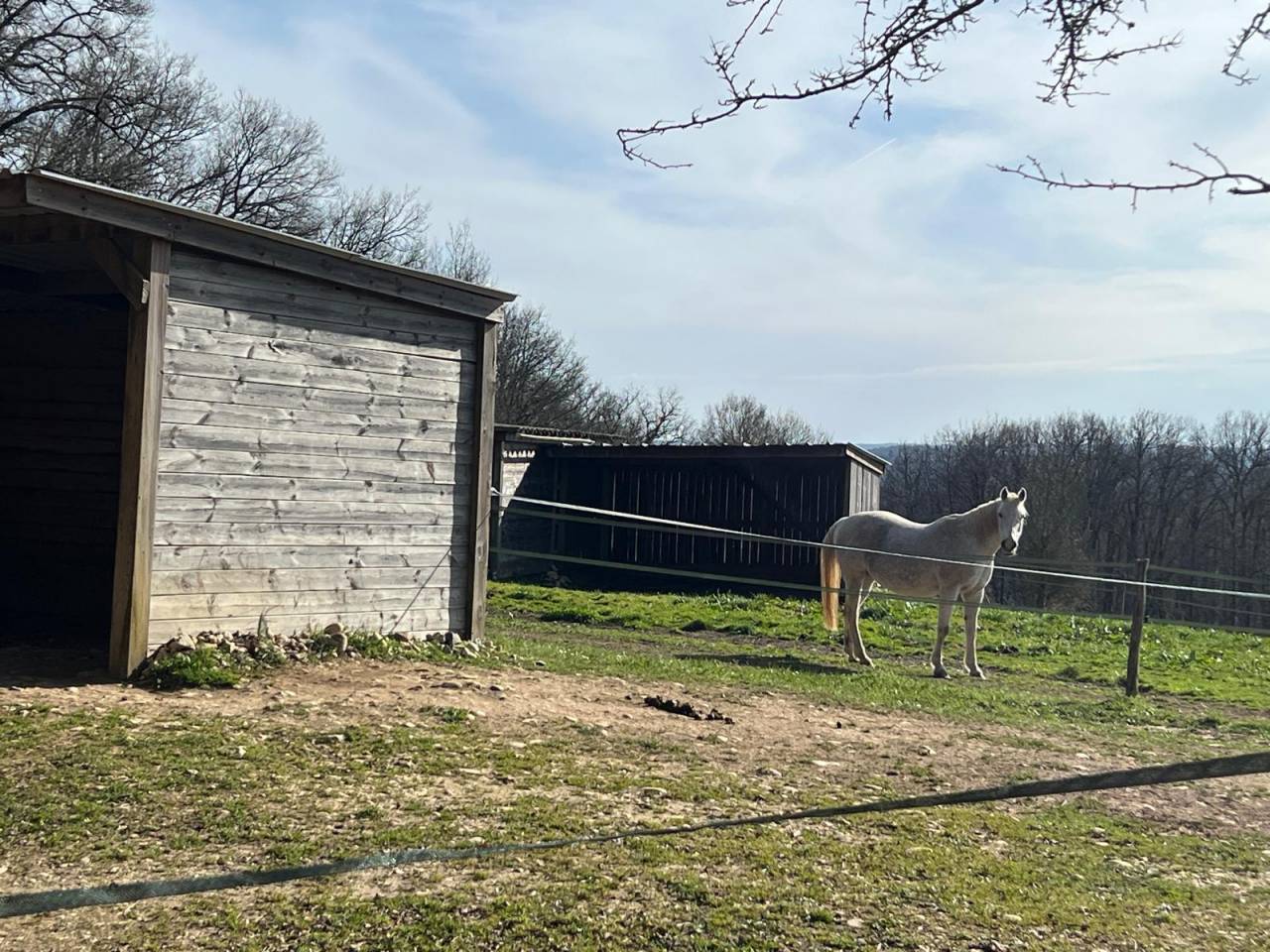 Bonita residencia ecuestre En venta Lot