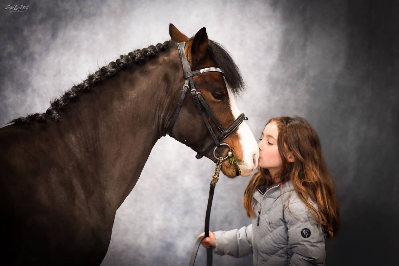 Koetsiershoeve Billy of Glory - New Forest 2019 por Comm's Forest Dille