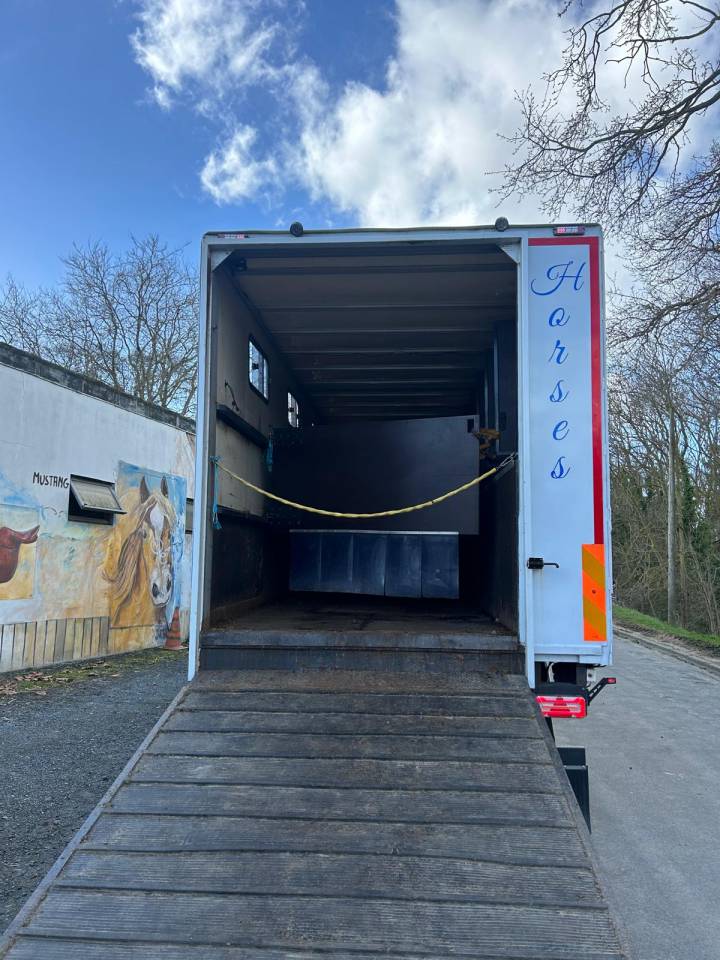 Cami&oacute;n para caballos Renault midle 2011 De segunda mano