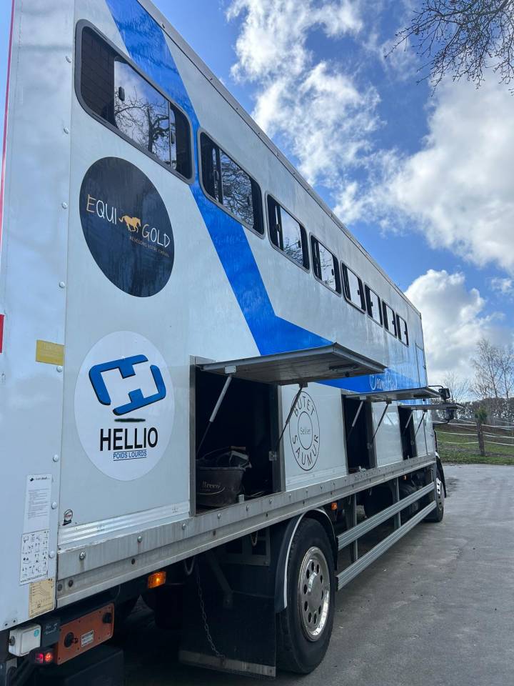 Cami&oacute;n para caballos Renault midle 2011 De segunda mano