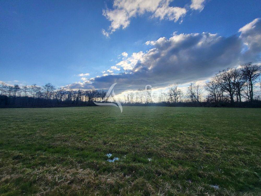 Propiedad ecuestre En venta Ain