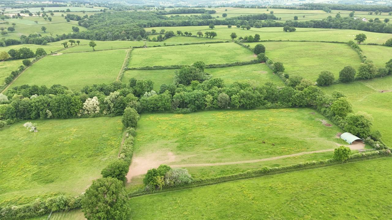 Acaballadero En venta Allier