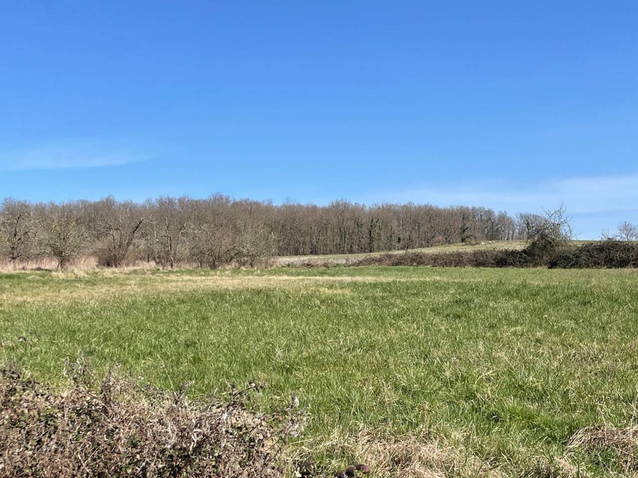 Propiedad ecuestre En venta Dordoña