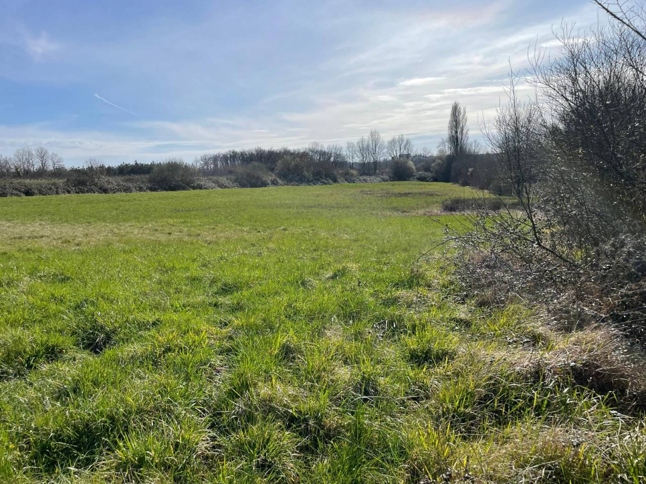 Propiedad ecuestre En venta Dordoña