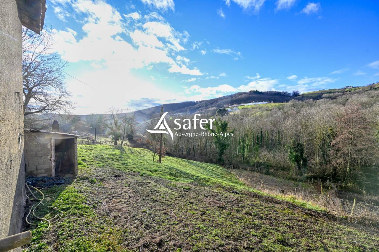 Propiedad rural En venta R&oacute;dano