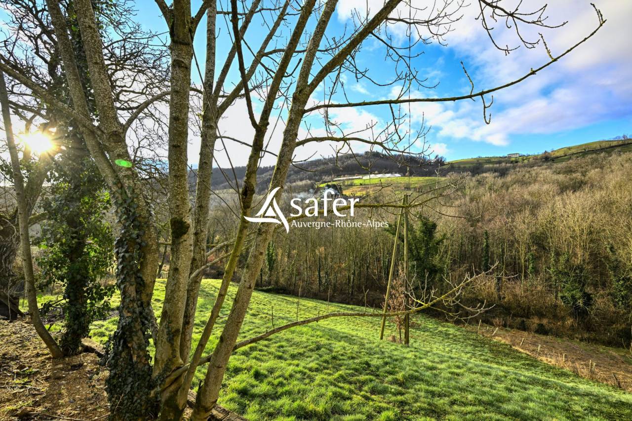 Propiedad rural En venta R&oacute;dano