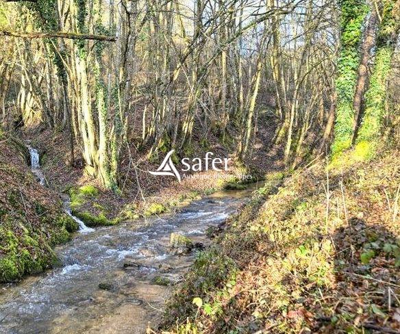 Propiedad rural En venta R&oacute;dano