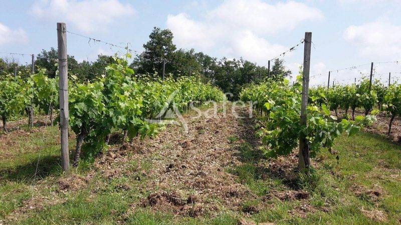 Propiedad rural En venta Gironda