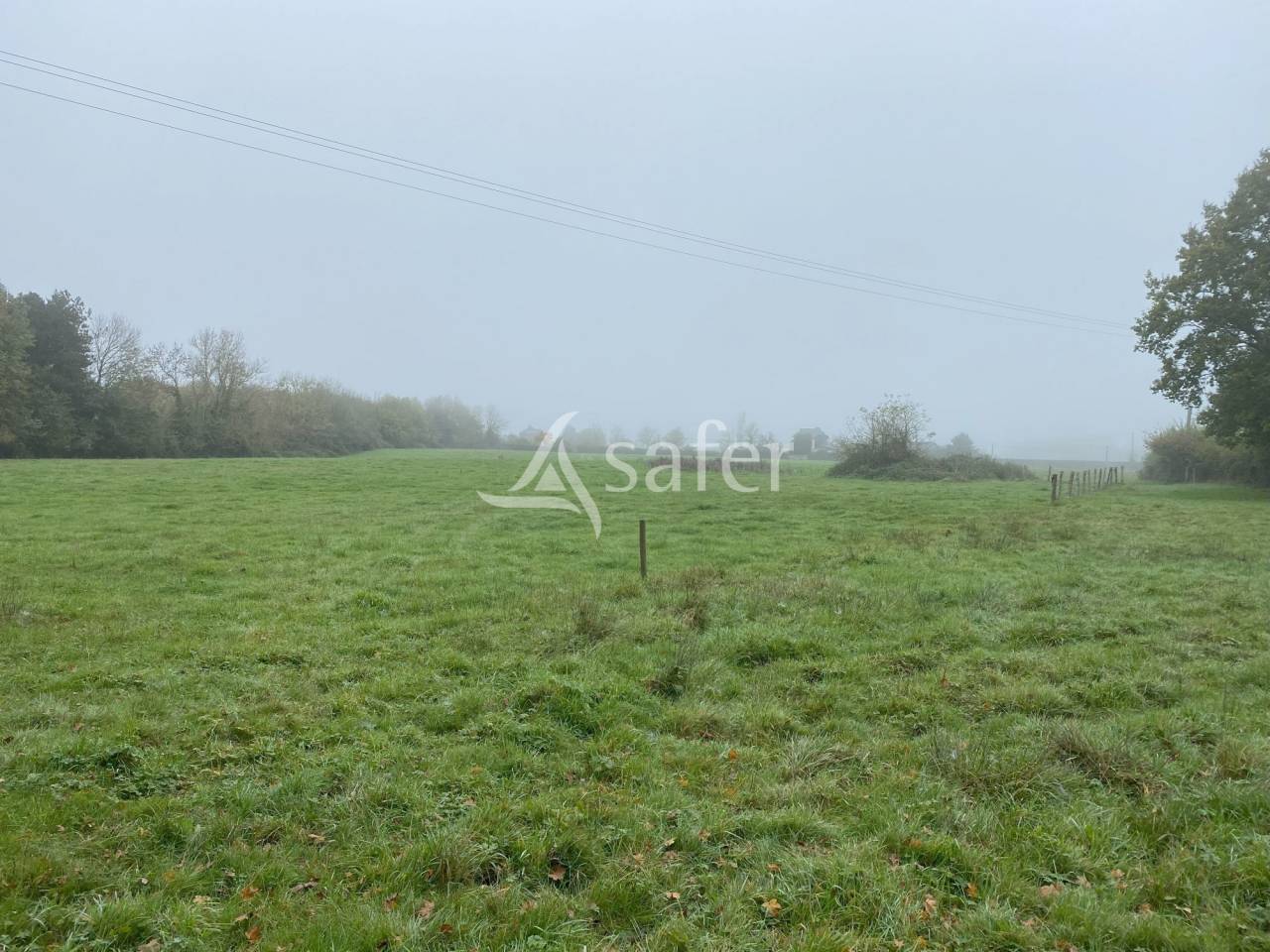 Explotación agrícola En venta Calvados