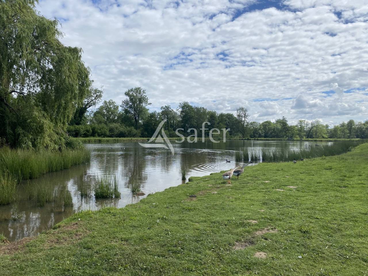 Propiedad ecuestre En venta Ain