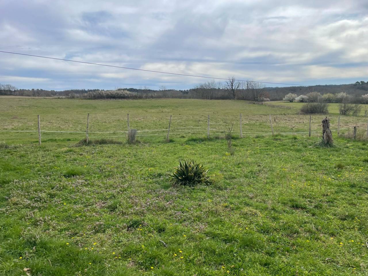 Propiedad ecuestre En venta Dordoña