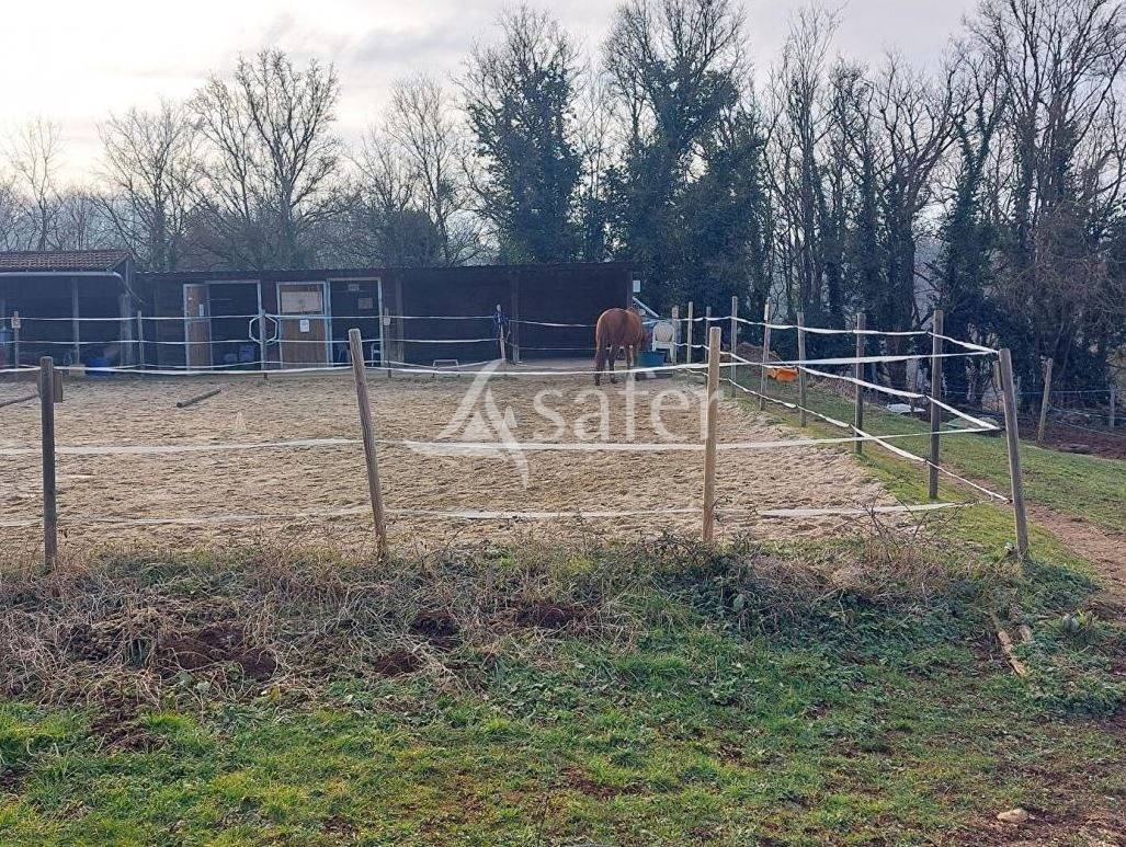 Propiedad ecuestre En venta Saona y Loira