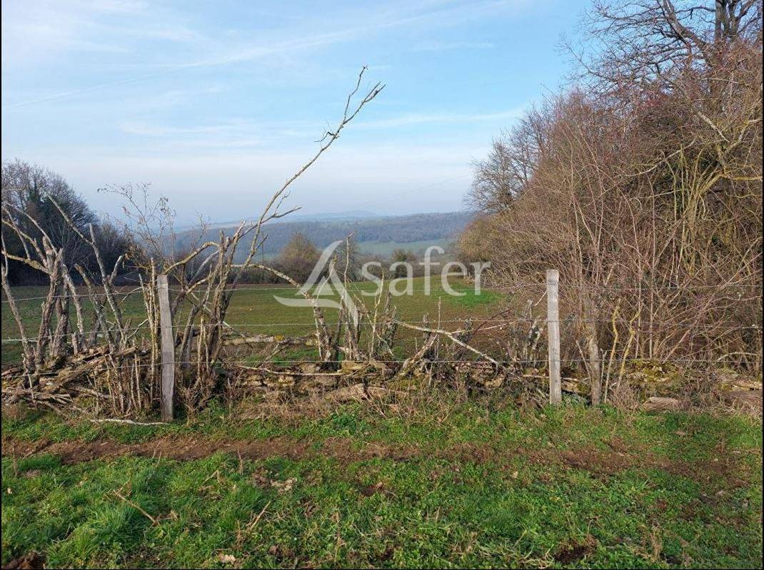 Propiedad ecuestre En venta Saona y Loira