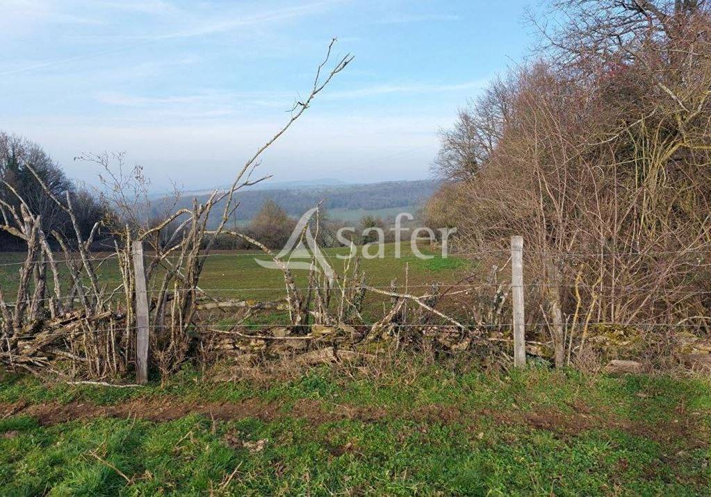 Propiedad ecuestre En venta Saona y Loira