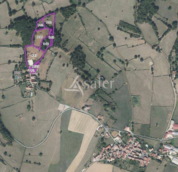 Propiedad ecuestre En venta Saona y Loira