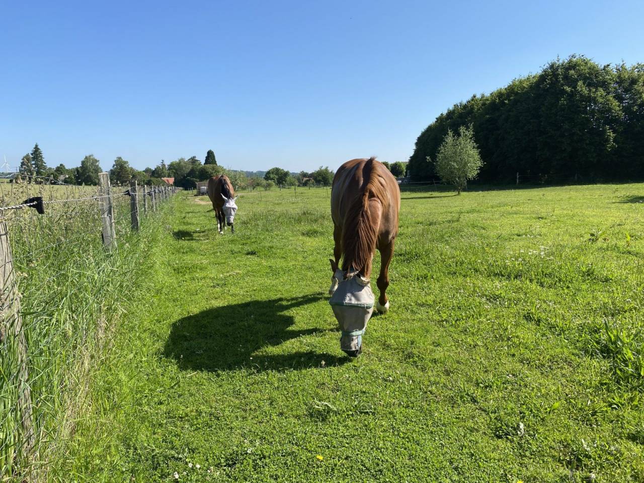 Propiedad ecuestre En venta Aisne