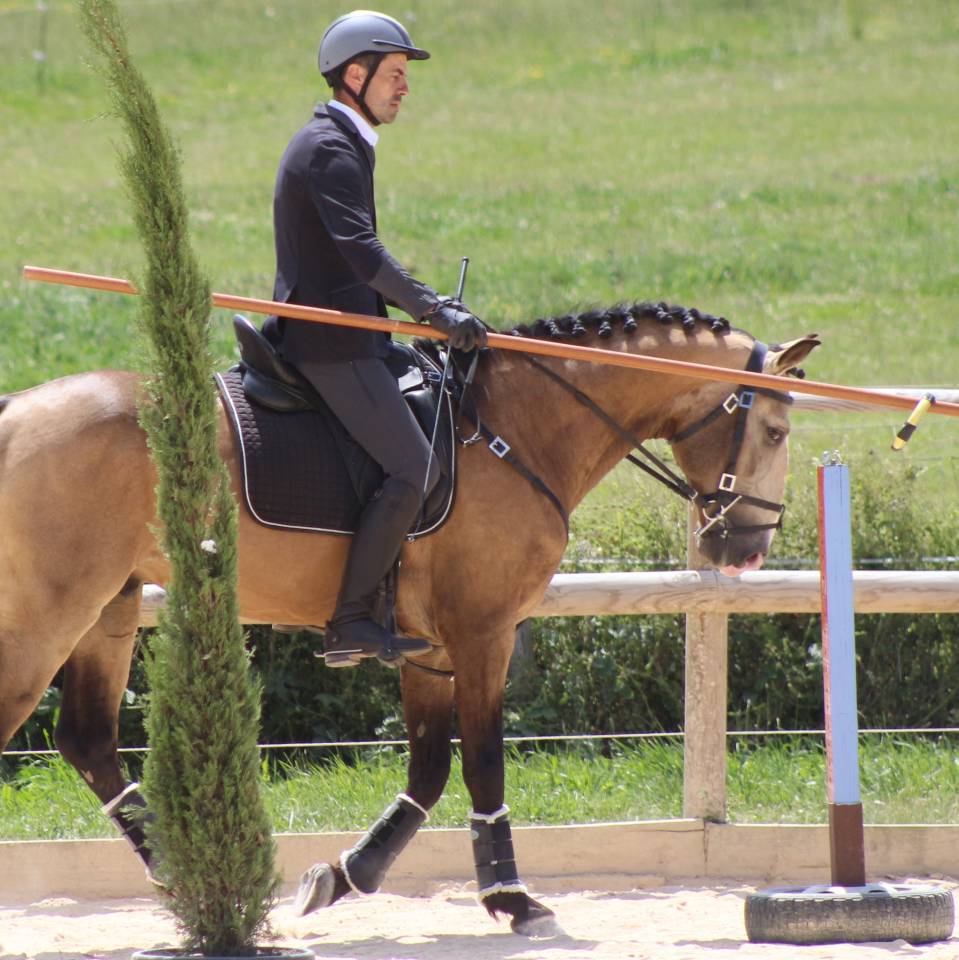 OPIUM DU DASTUGUE - Lusitano 2018 por Altivo SQT