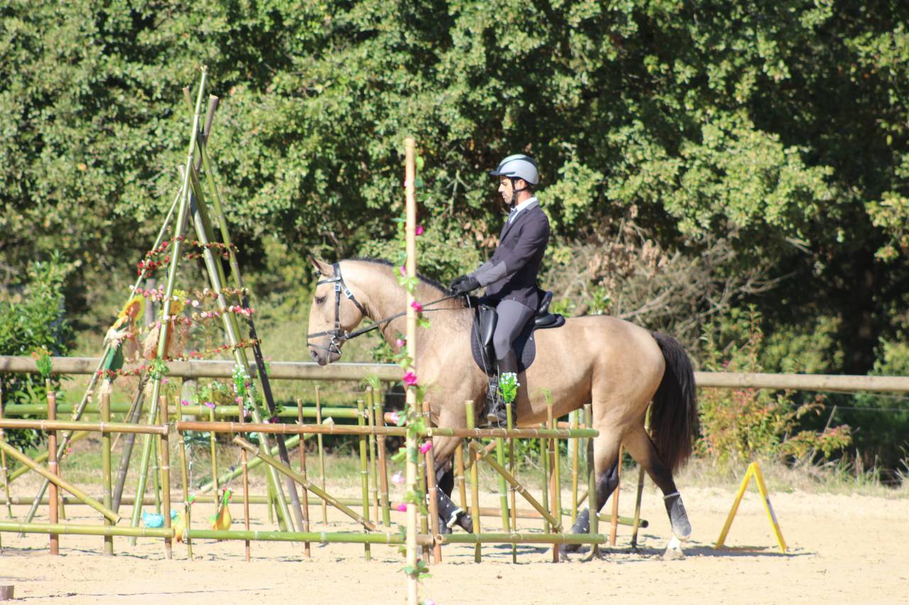 OPIUM DU DASTUGUE - Lusitano 2018 por Altivo SQT