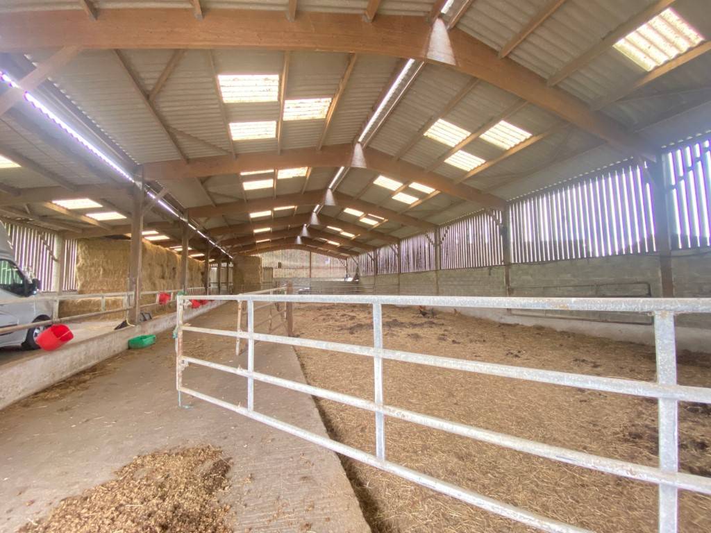 Acaballadero En venta Marne