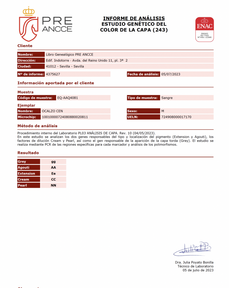 OCALZO CEN - PRE Pura Raza Española 2010 por JORDAN DE CENTURION