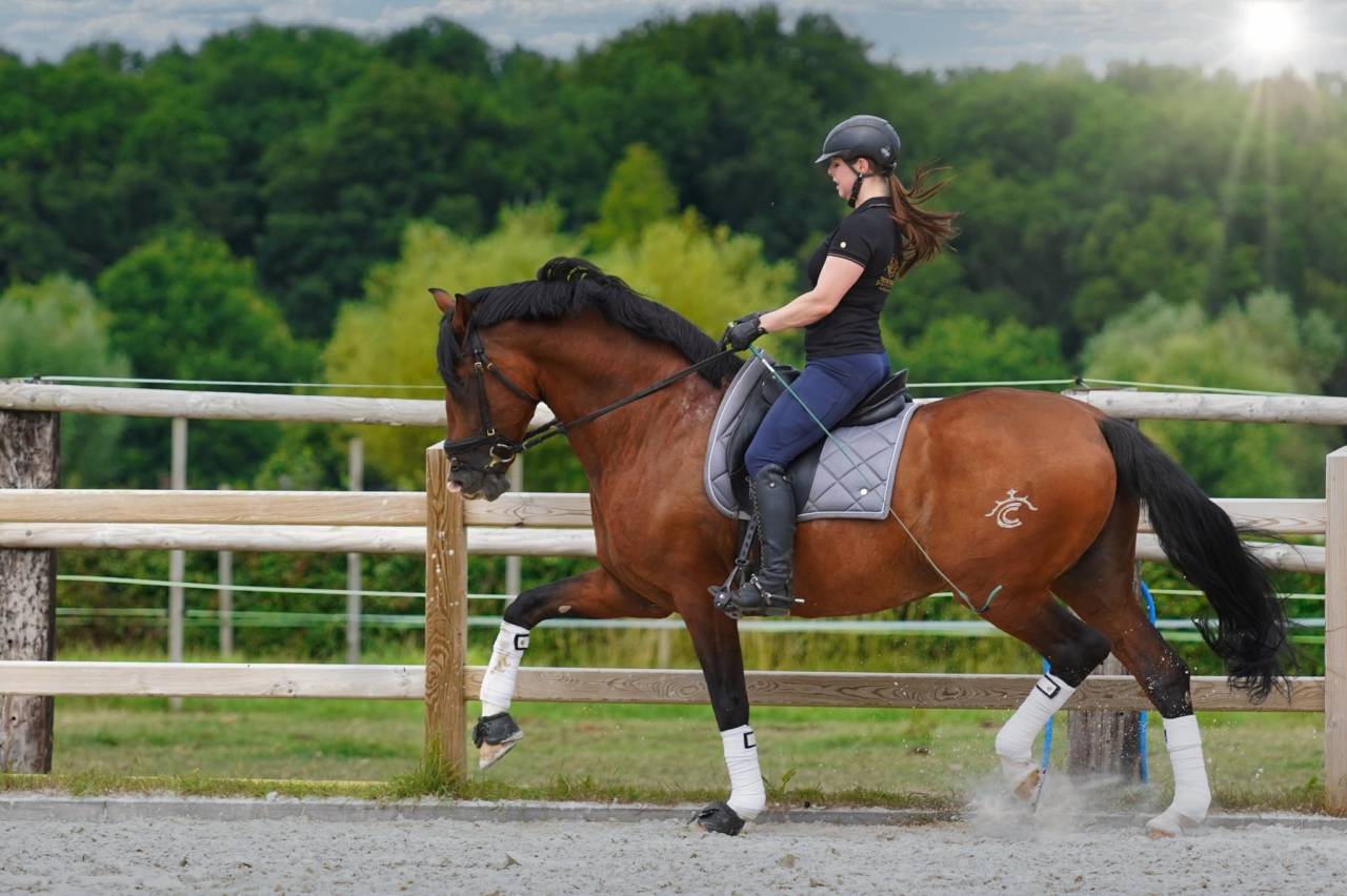 OCALZO CEN - PRE Pura Raza Española 2010 por JORDAN DE CENTURION