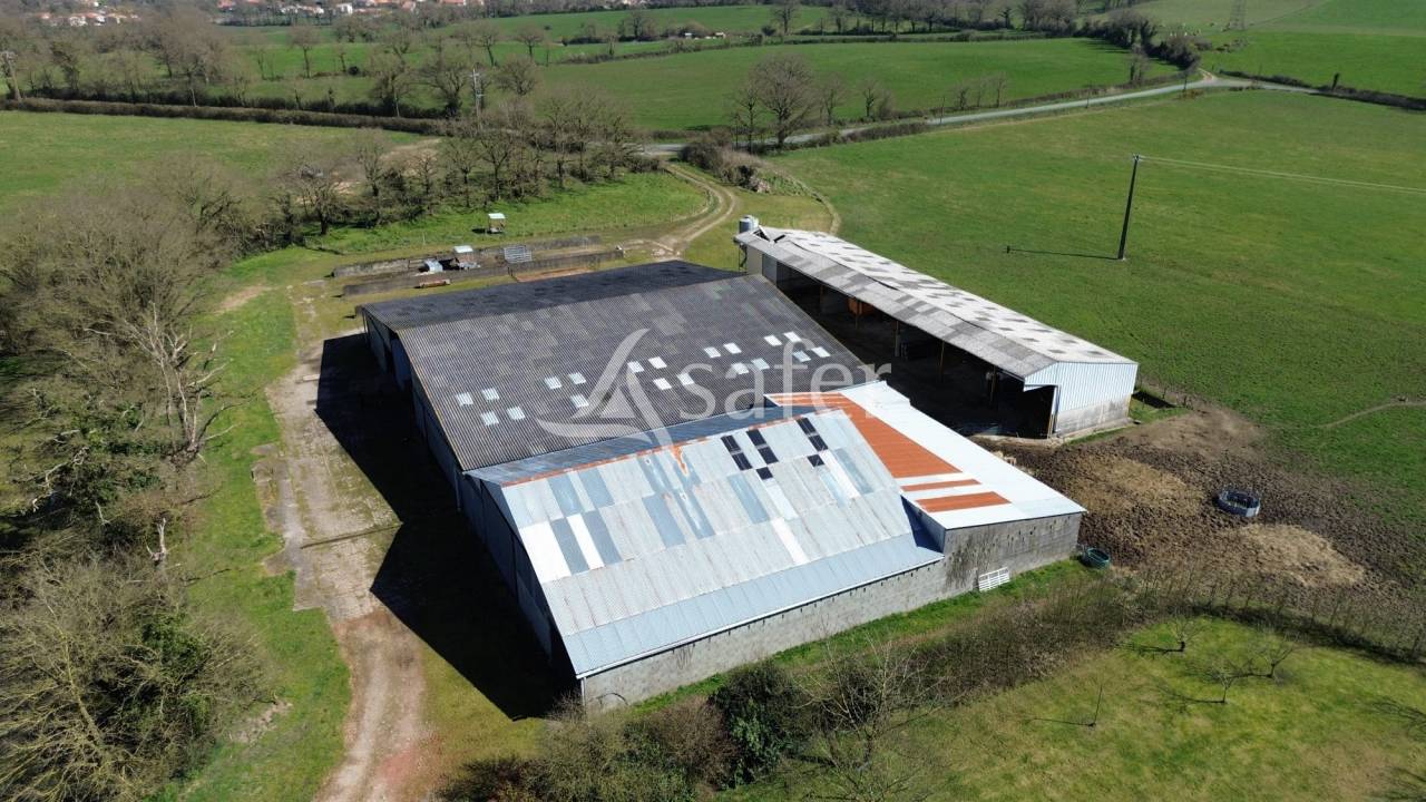 Explotación ovina En venta Deux-Sèvres