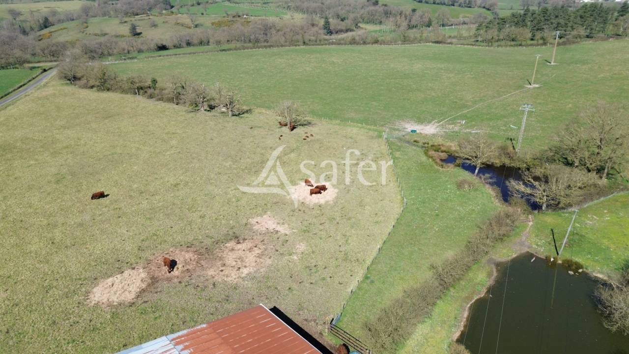 Explotación ovina En venta Deux-Sèvres