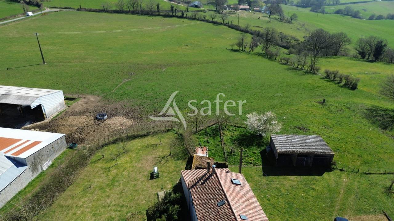 Explotación ovina En venta Deux-Sèvres