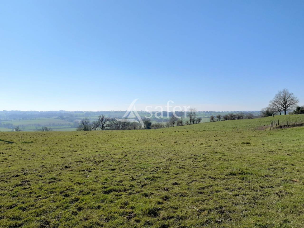 Explotación ovina En venta Deux-Sèvres